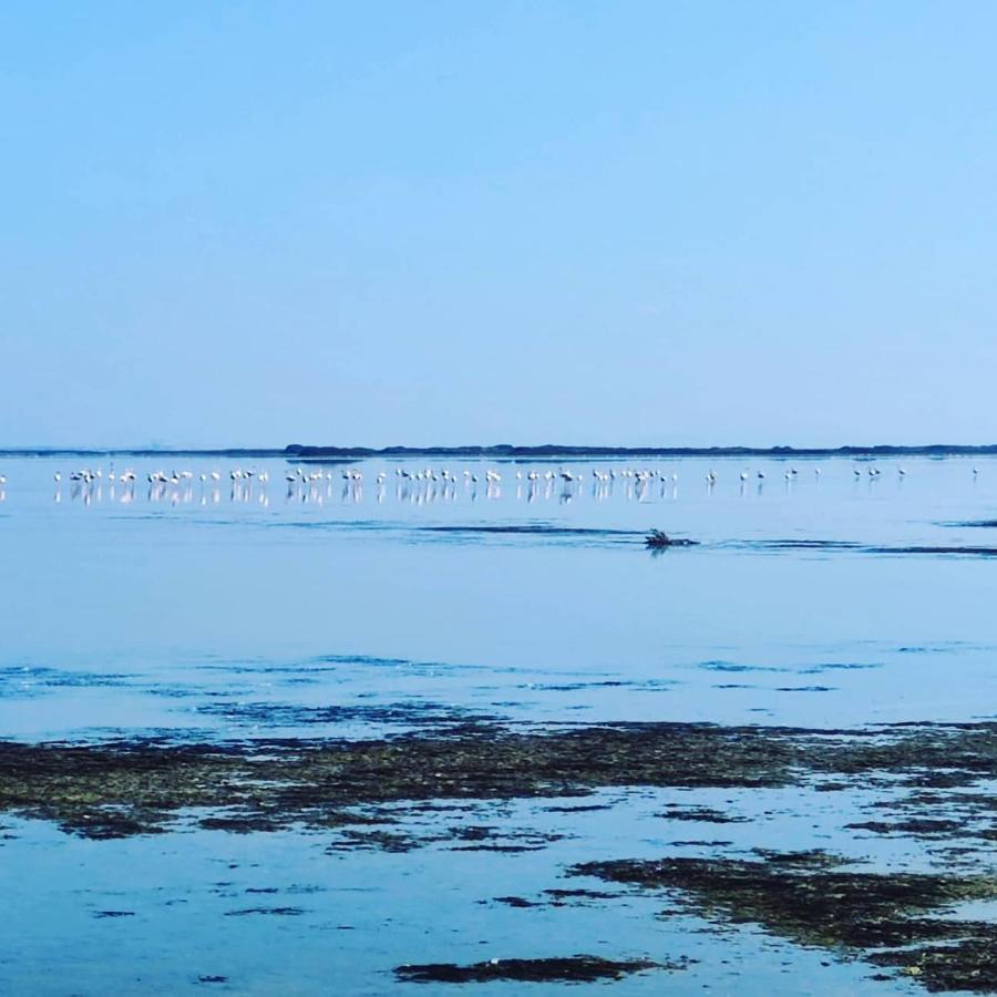Appartement Au Coeur Des Rizieres 생 드 지로 외부 사진