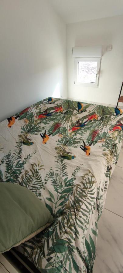 Appartement Au Coeur Des Rizieres 생 드 지로 외부 사진