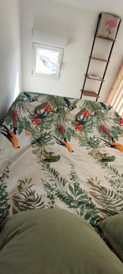 Appartement Au Coeur Des Rizieres 생 드 지로 외부 사진